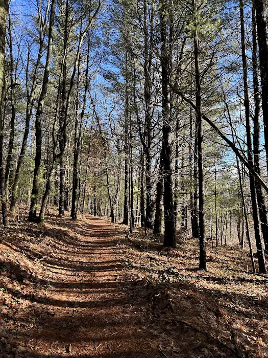 Lake Dubonnet Trail Camp 9