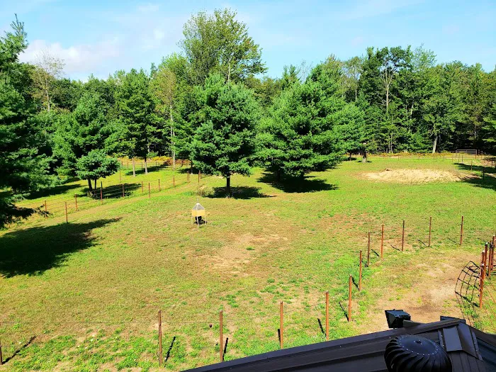 Camp Dubonett 7