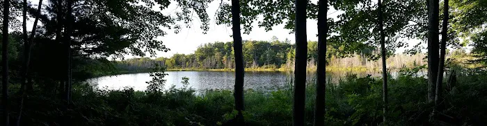 Lake Ann State Forest Campground 1