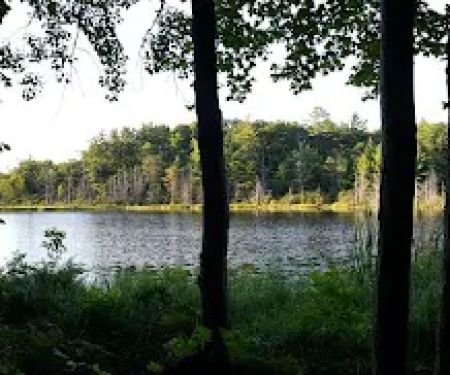 Lake Ann State Forest Campground
