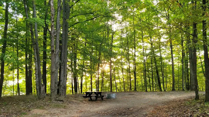 Lake Ann State Forest Campground 7