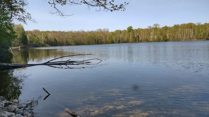 Lake Ann State Forest Campground 5