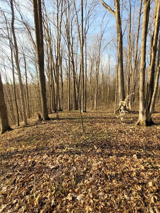 Lake Ann State Forest Campground 4