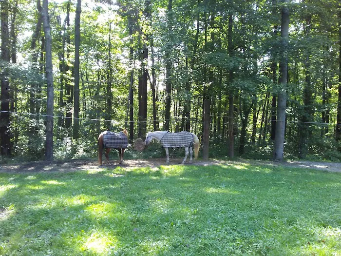 Hocking State Forest Horseman's Camp 7
