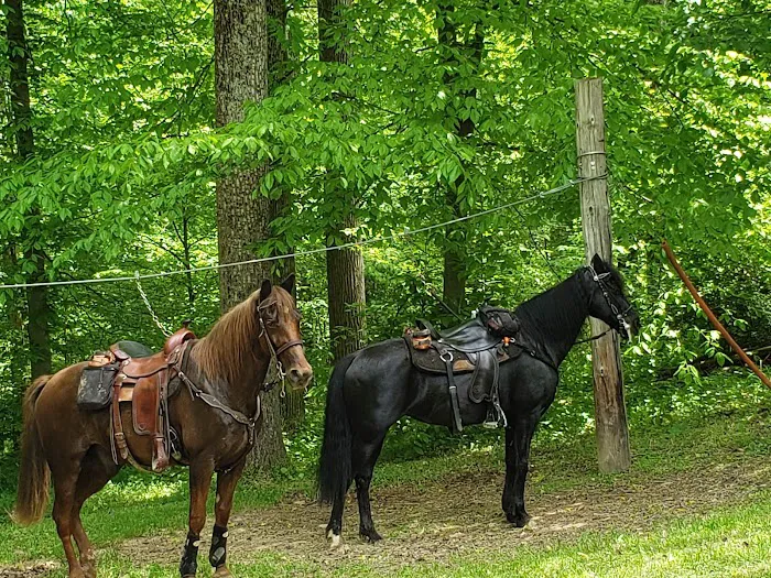 Hocking State Forest Horseman's Camp 10