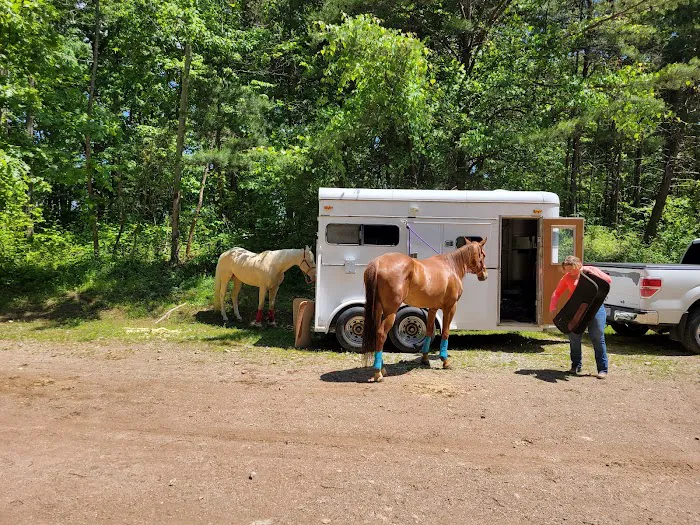 Hocking State Forest Horseman's Camp 4