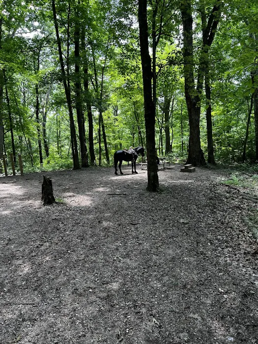 Hocking State Forest Horseman's Camp 8