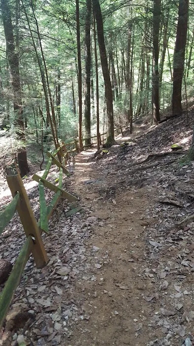 Hocking State Forest Horseman's Camp 5