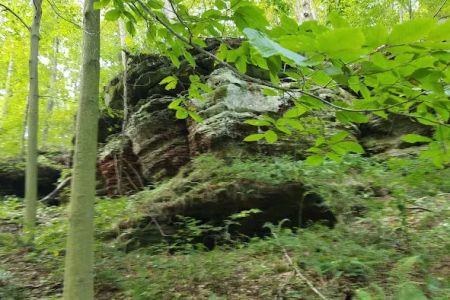Hocking State Forest Horseman's Camp