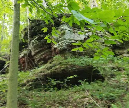 Hocking State Forest Horseman's Camp