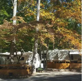Walnut Creek Campground & Resort 6