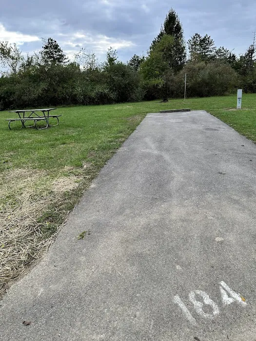 Campsite 184 (Electric Only) 1