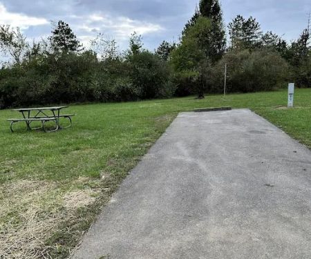 Campsite 184 (Electric Only)