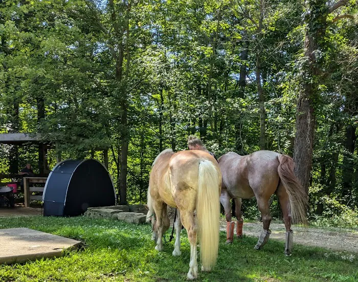 Palmerosa Horse & Hike Campground 8