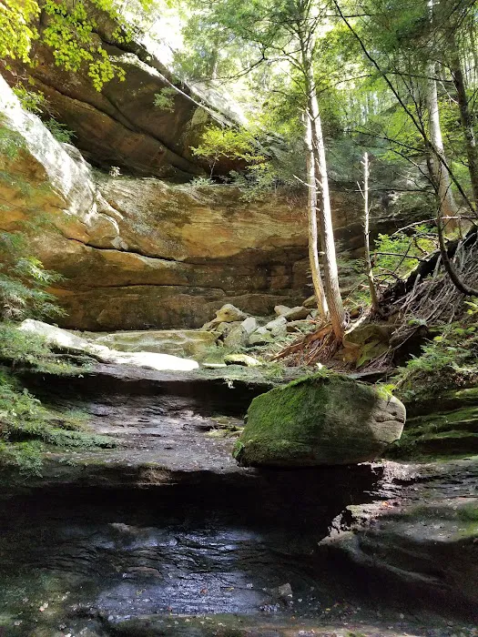 Palmerosa Horse & Hike Campground 1