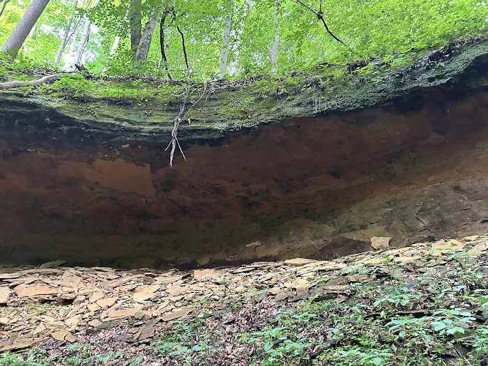 Rockwood Campground 3