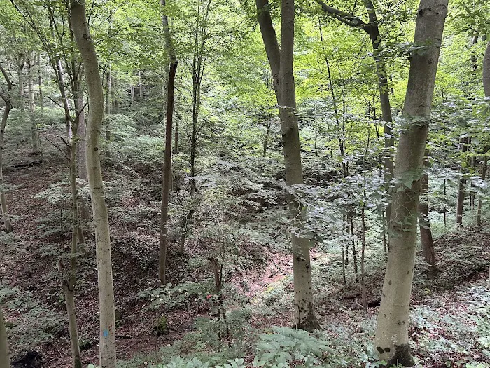 Rockwood Campground 4