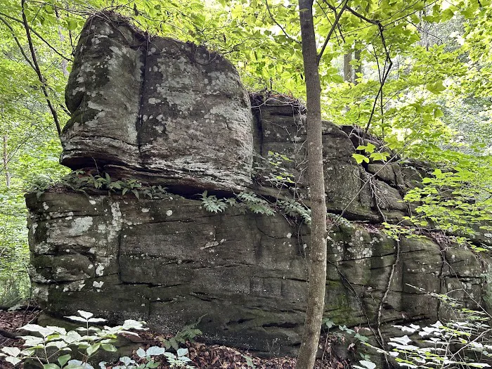 Rockwood Campground 7