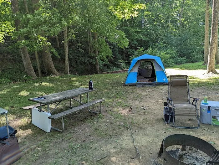 Tar Hollow State Park Logan Hollow Campground 10