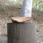 Knox Acres Campgrounds
