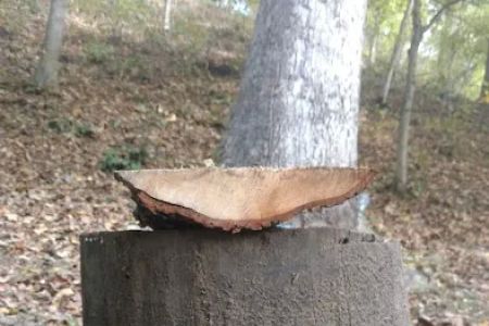 Knox Acres Campgrounds