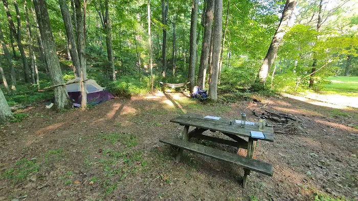 Dullen Loop Campsite 1