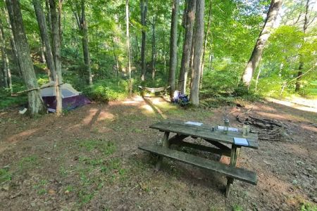Dullen Loop Campsite