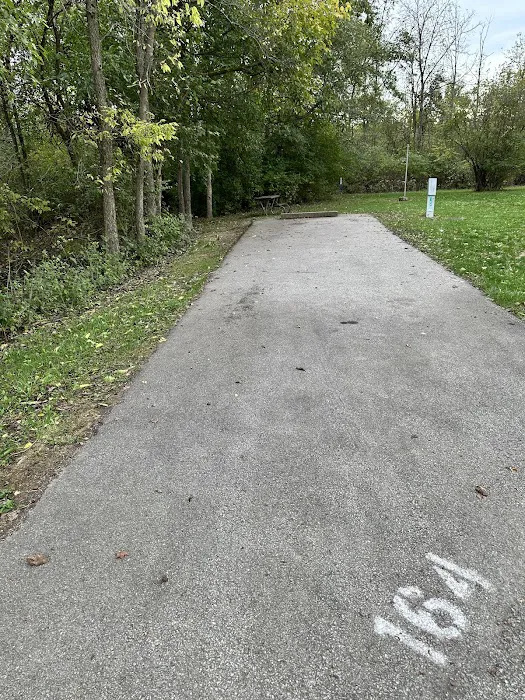 Campsite 164 (Electric Only) 1