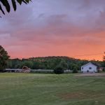 Chateau Estates Mobile Home Park