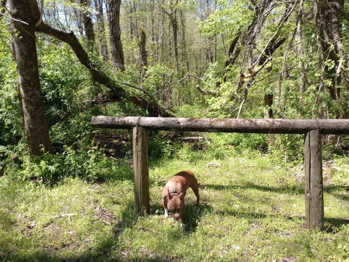 Salt Fork State Park Campground 4