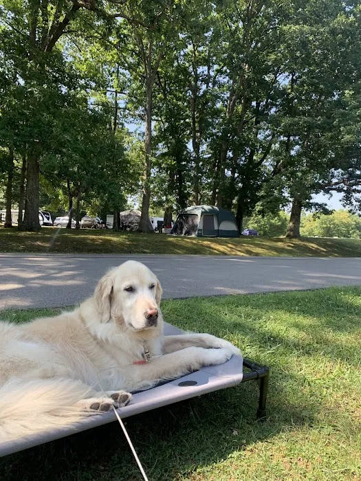 Salt Fork State Park Campground 9