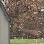 Shel Mar Estates Mobile Home Community