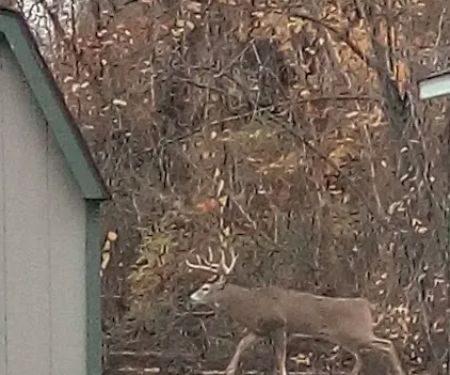 Shel Mar Estates Mobile Home Community