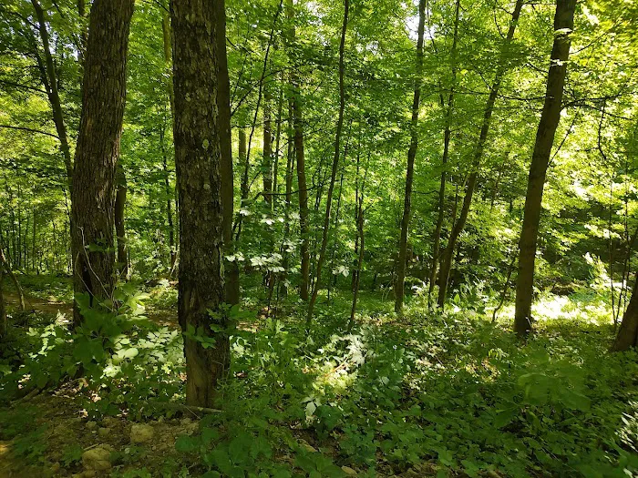 Camp Tuscazoar Foundation Inc 9