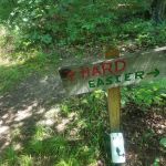 Camp Tuscazoar Foundation Inc