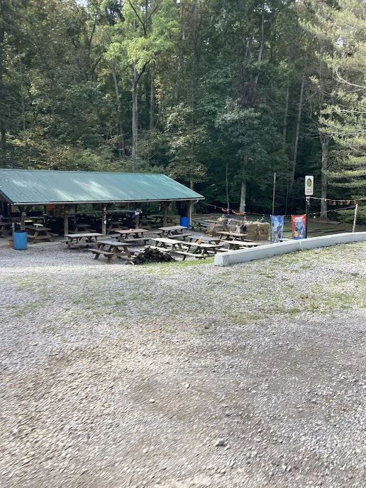 Lost Hollow 7
