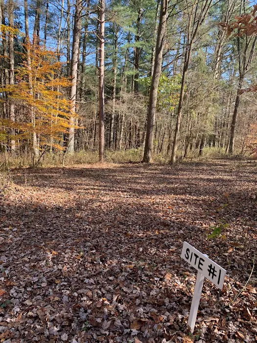 Dry Creek Pines 2