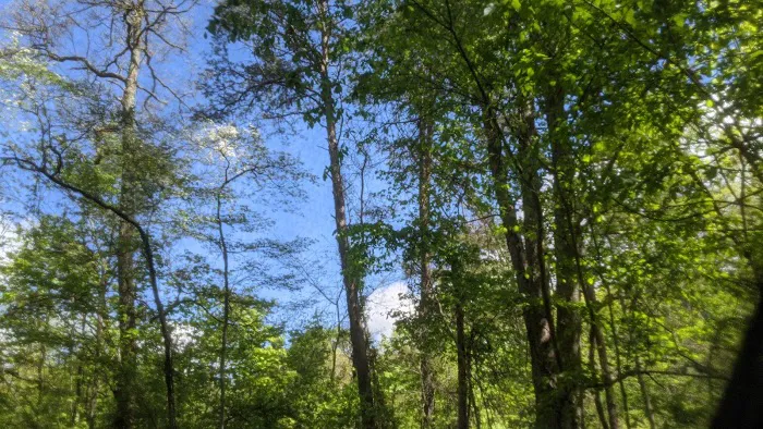 Hocking Hills Walk-in Camp Sites 3