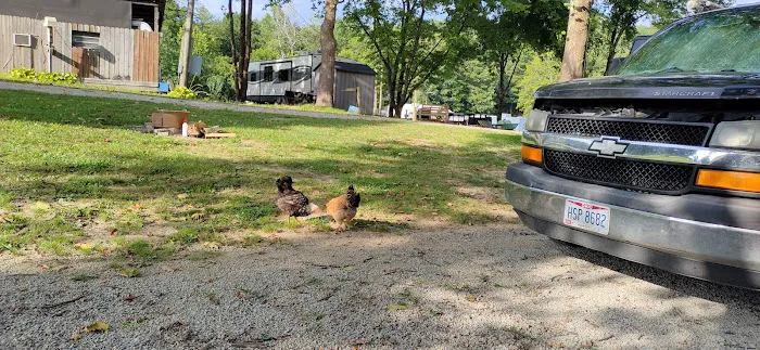 Williams Campground 9
