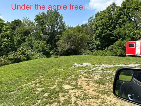 Williams Campground 1