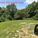 Williams Campground