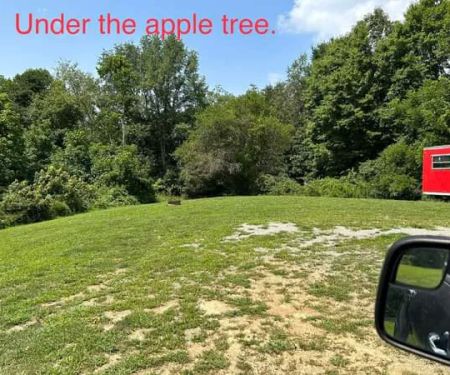 Williams Campground