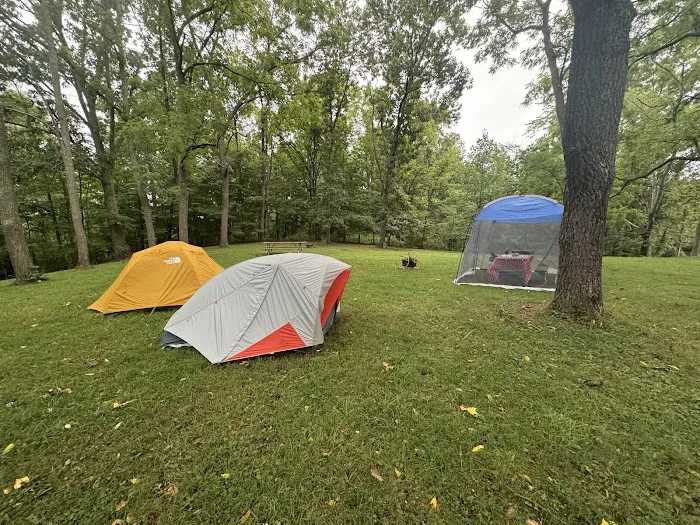 Barn Yard Camping 8