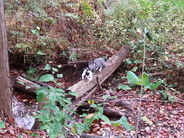 Canaan Acres Campground 9