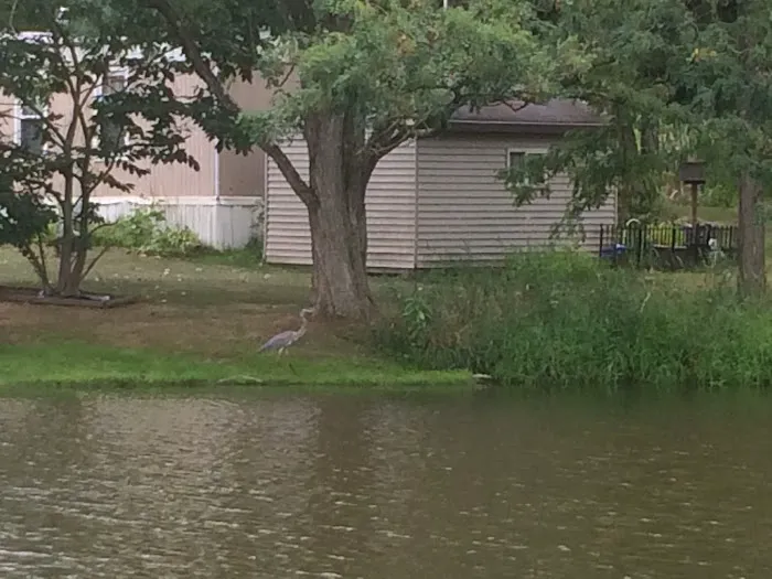 Spring Lakes Mobile Home Park 1