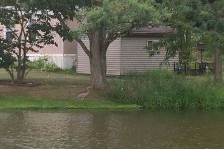 Spring Lakes Mobile Home Park