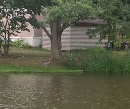 Spring Lakes Mobile Home Park