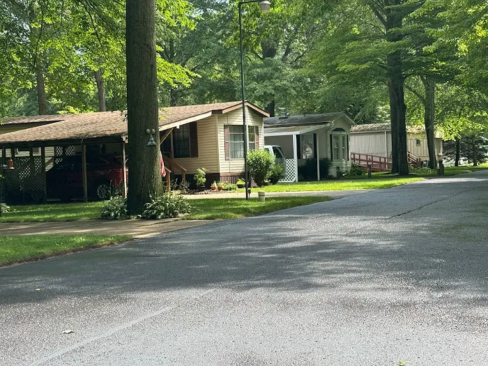 My Place at Thorn Hollow 5