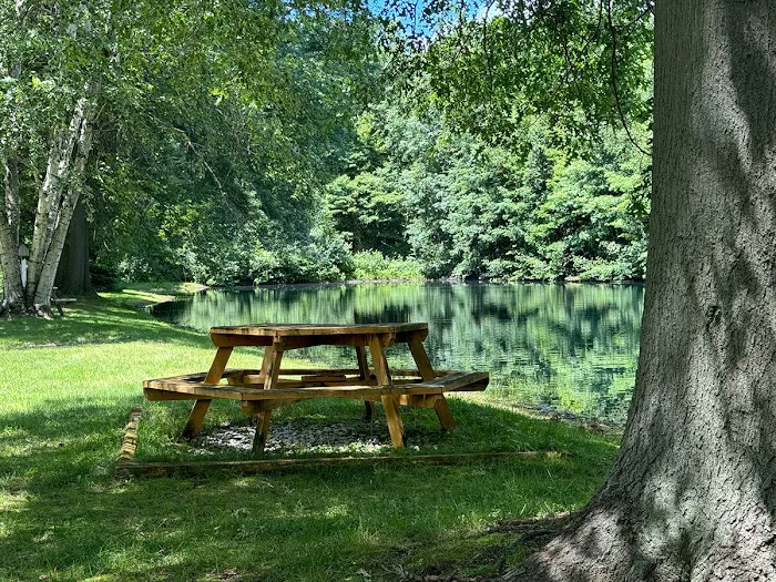 My Place at Thorn Hollow 6