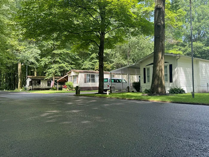 My Place at Thorn Hollow 2